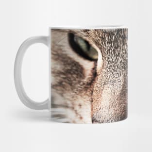 Cat on the Bed Mug